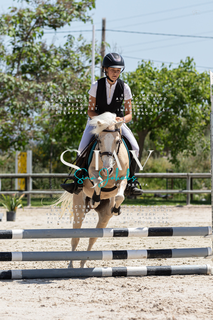 IMG_0297 | s-jay-photography - Realisiert mit Pictrs.com