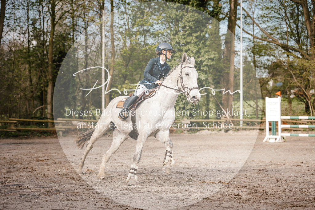 3I6A3368 | Stimmungsvolle Portraits und Reitsportfotografie im Ruhrgebiet und im Münsterland.

Pferdefotografie, Hundefotografie, Tierfotografie, Reportagen, Portraits von Tier und Mensch, Turnierfotografie in Bochum, Recklinghausen, Marl, Haltern am See, Dülmen.. - Realisiert mit Pictrs.com