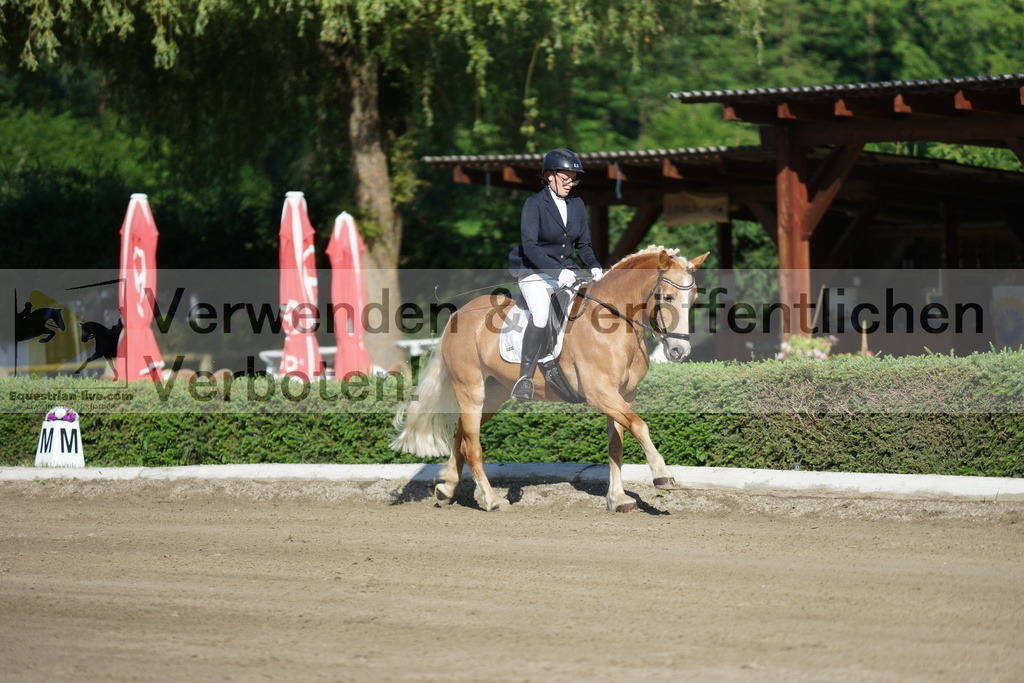 DSC04054 | equestrian-live-com