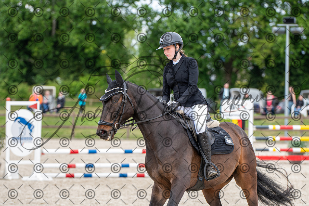 KPT_6140 | andre_photographic