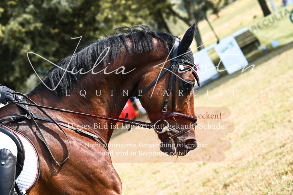 DSC_7548 | Pferde- und Turnierfotografie in Westsachsen. Pferdeportraits, Auftragszeichnungen und intuitive Kunst.