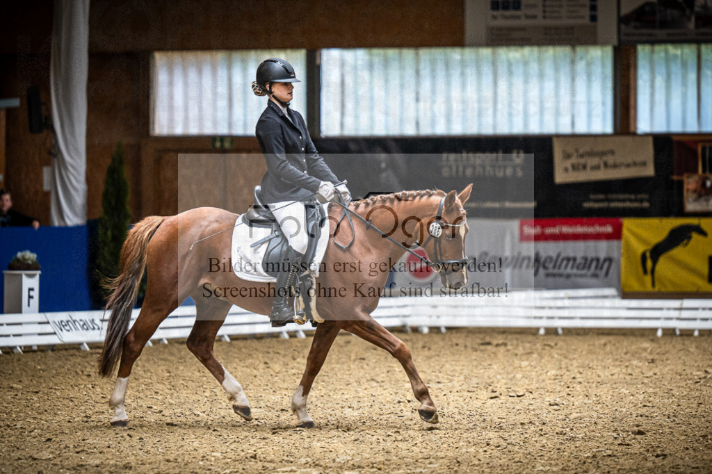 DOS_1611 | Entdecke hochwertige Reitturnierfotos von Foto Oger. Professionell, emotional und authentisch – jetzt Lieblingsmomente im Shop bestellen.Deutschlandweite Turnierfotografie. - Realisiert mit Pictrs.com