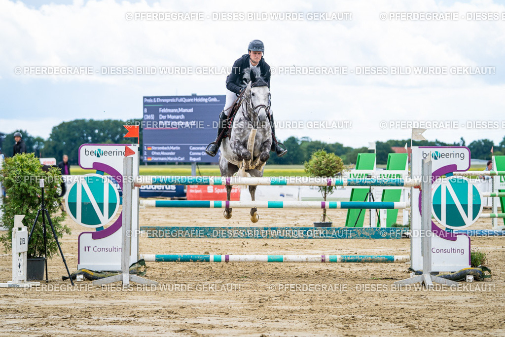 DSC05372 | Pferdegrafie