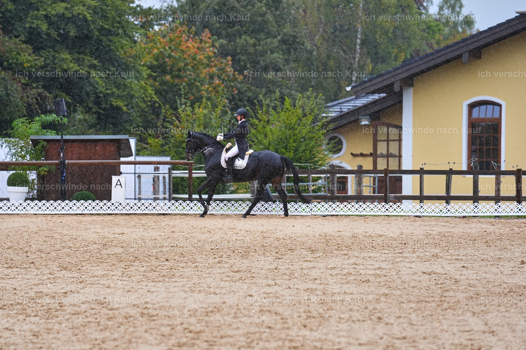8_1-027-Klasse S_  -Marixx-4396 | working equitationturnier fotograf videograf stoibphotography marixx film working equitation deutschland reitsport turnierfotografie eventfotografie equestrian events