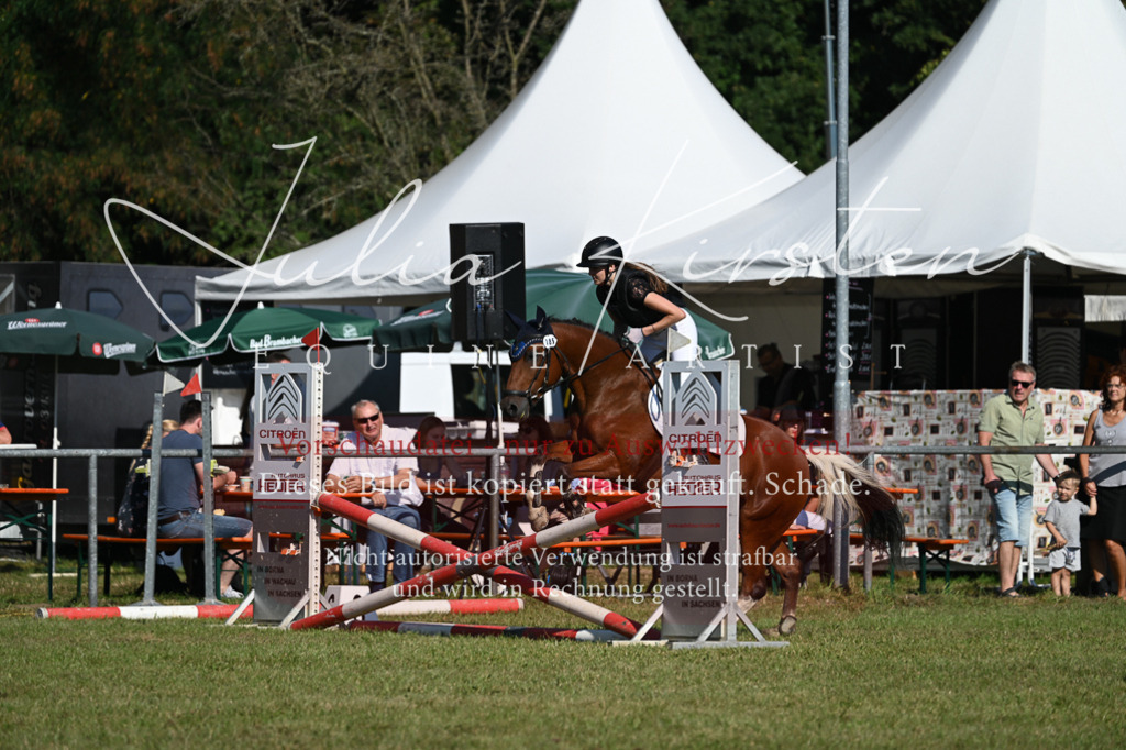 DSC_5351 | Pferde- und Turnierfotografie in Westsachsen. Pferdeportraits, Auftragszeichnungen und intuitive Kunst.