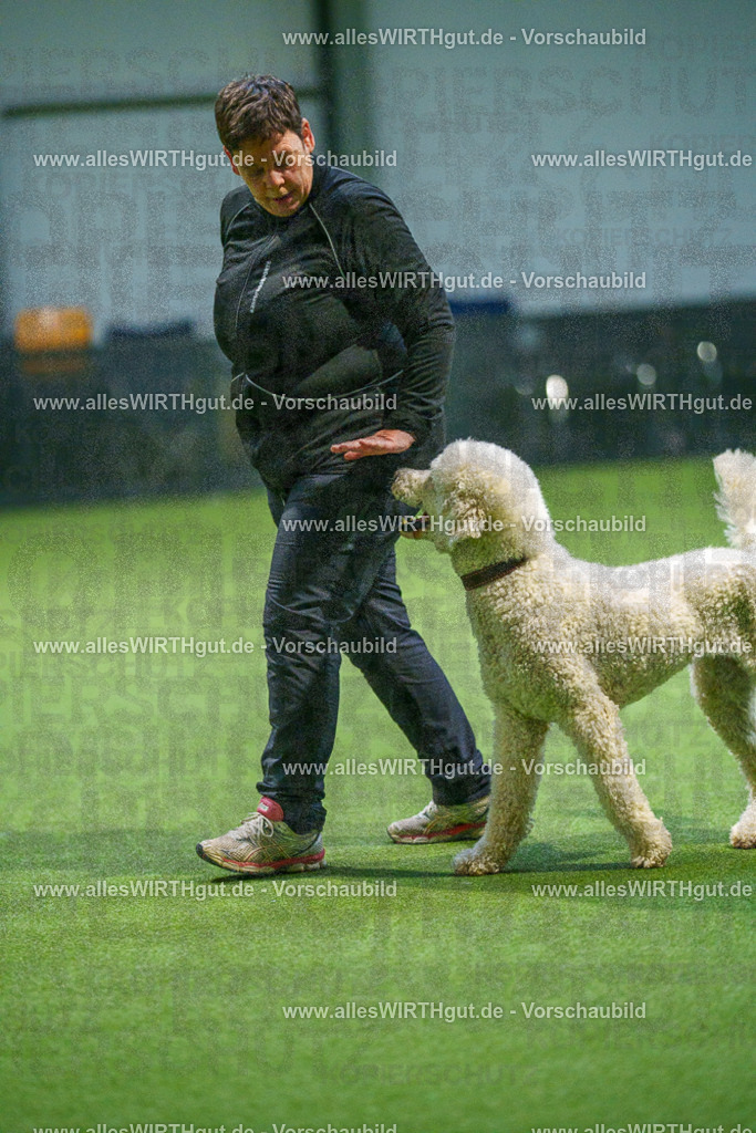 7R509936 | Professionelle Tierfotografie in Mönchengladbach von Daniel Wirth (allesWIRTHgut). Liebevolle & natürliche Bilder von Hunden & Katzen für unvergessliche Erinnerungen.