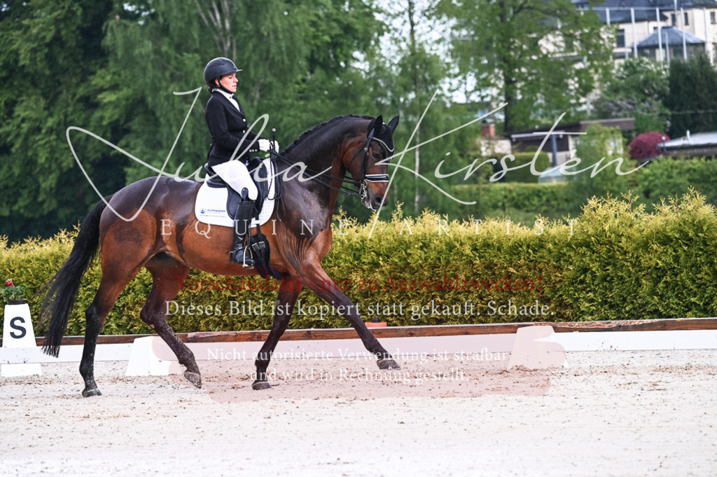 DSC_4202 | Pferde- und Turnierfotografie in Westsachsen. Pferdeportraits, Auftragszeichnungen und intuitive Kunst.