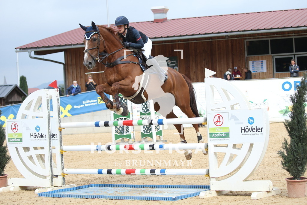 DL2Q4624 | Willkommen bei Brunnmayr - Design & Fotografie – Ihrem Spezialisten für Reitturniere und Pferdeveranstaltungen in Oberösterreich, Salzburg und Bayern! Seit über 17 Jahren sind wir leidenschaftlich dabei.
