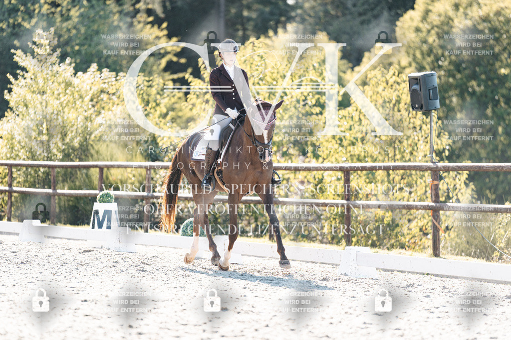 CK906540 | Turnierfotografie Pferdefotografie Trier Rheinland-Pfalz Pferdesport Reitsport Tierfotografie Sportfotografie Pferdevideo Pferdevideografie Equestrianvideography equestrianphotography  - Realisiert mit Pictrs.com