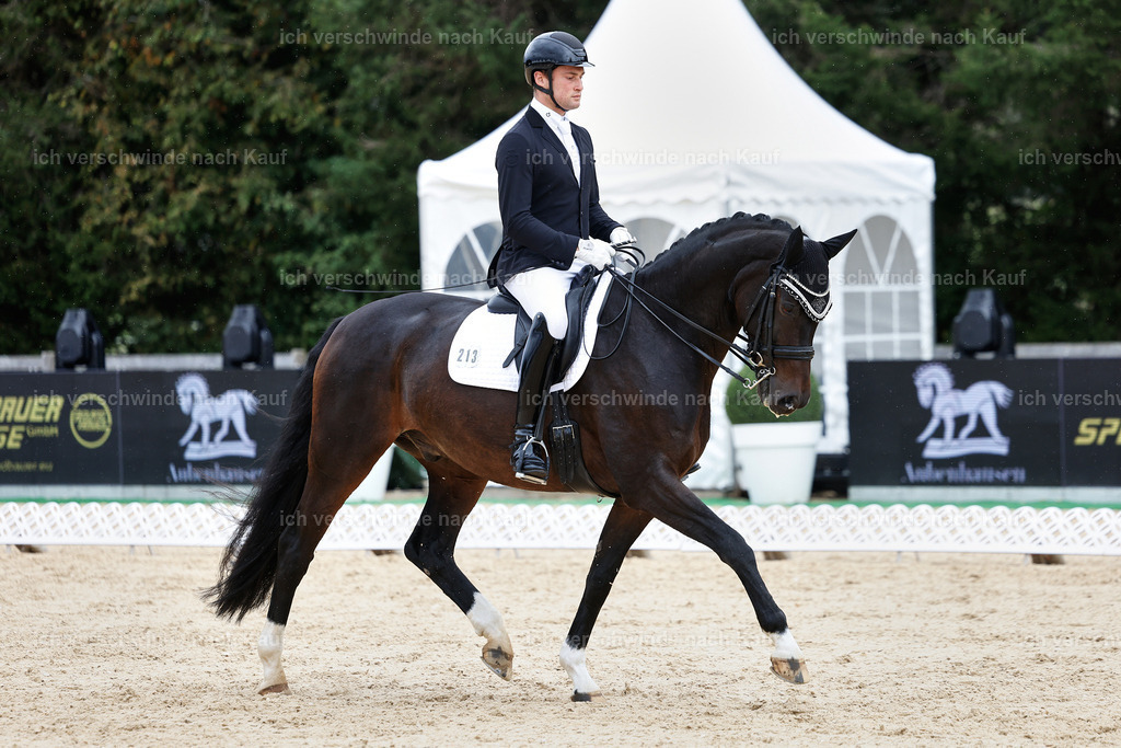 3-213-Dressur M_-StoibPH-2484 | working equitationturnier fotograf videograf stoibphotography marixx film working equitation deutschland reitsport turnierfotografie eventfotografie equestrian events