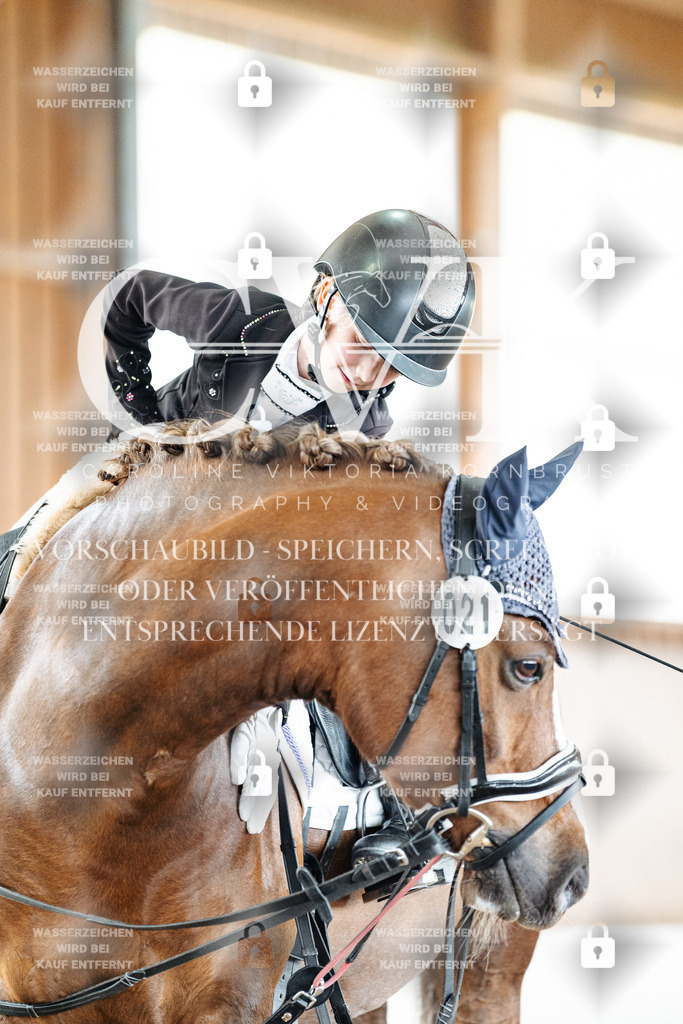 CK901734 | Turnierfotografie Pferdefotografie Trier Rheinland-Pfalz Pferdesport Reitsport Tierfotografie Sportfotografie Pferdevideo Pferdevideografie Equestrianvideography equestrianphotography  - Realized with Pictrs.com