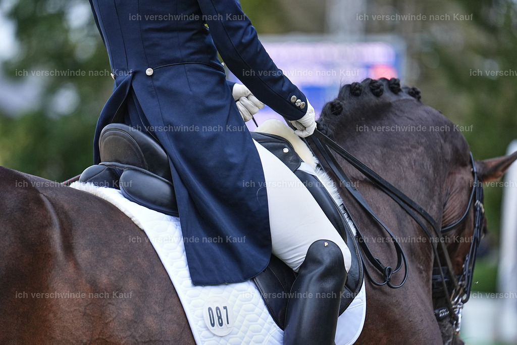 8_1-087-Klasse S_  -Marixx-4109 | working equitationturnier fotograf videograf stoibphotography marixx film working equitation deutschland reitsport turnierfotografie eventfotografie equestrian events