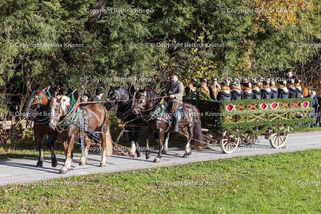 LBT24-415 | foto-bettina-krinner - Realisiert mit Pictrs.com