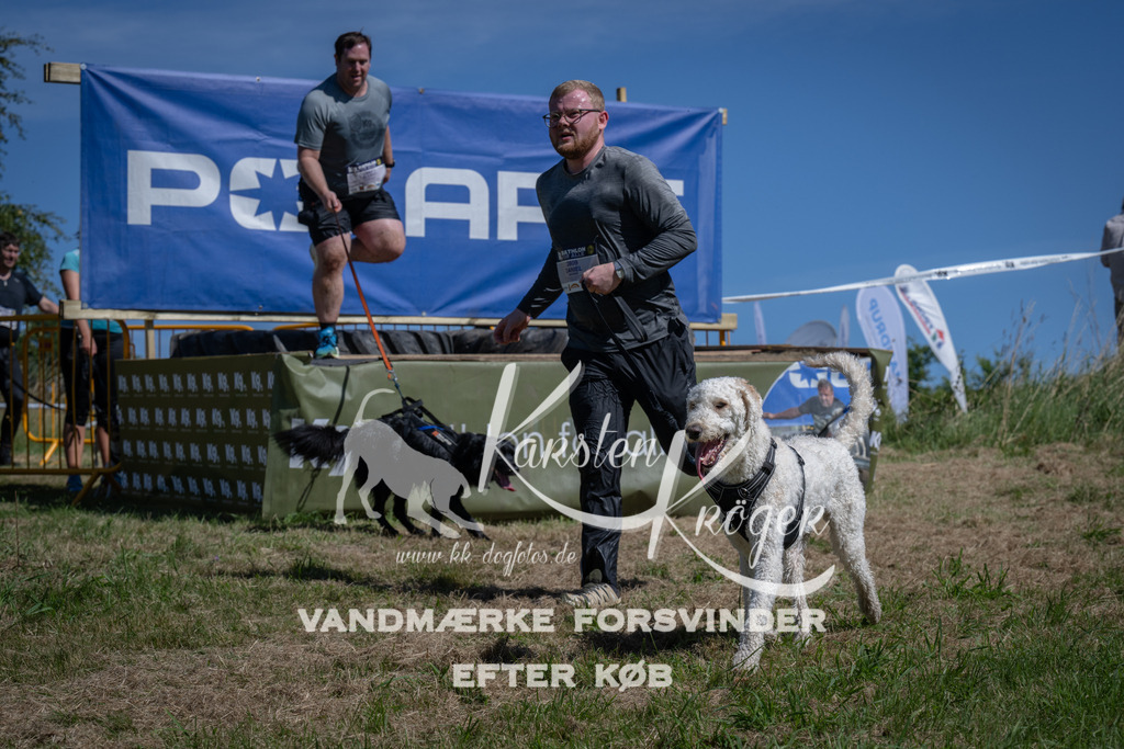 1202_ZZ93499 | kk-dogfotos