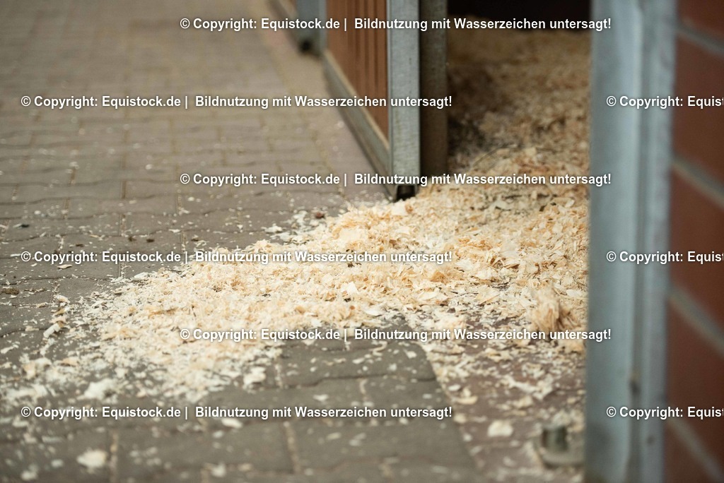 20190409_Einstreu_in_Pferdebox_0078 | Foto: Thomas Hartig
