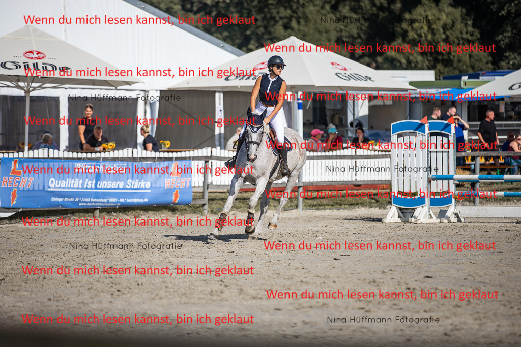 BK1A7308 | Turnierbilder Turnierfotos Nina Hüffmann Turnierfotografie Pferdefotografie Tierzeichnung Haustierzeichnung Pferdezeichnung Hundezeichnung Videograf  - Realisiert mit Pictrs.com