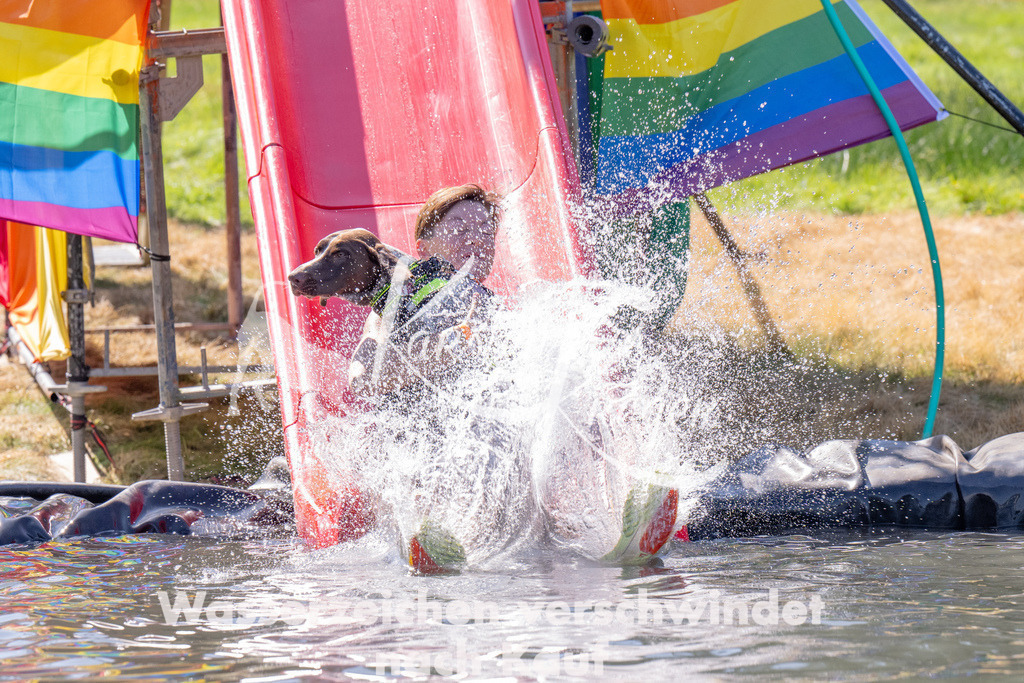 1218_ZZ91532 | kk-dogfotos