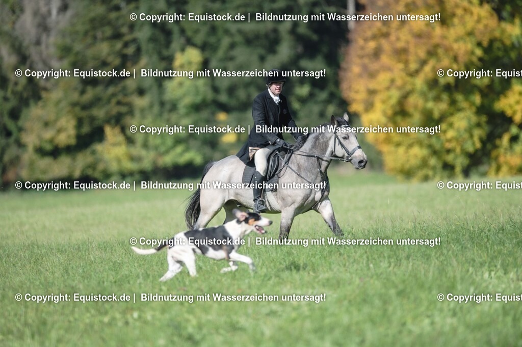 20251011_Jagd-Marbach_0239 | Foto: Thomas Hartig