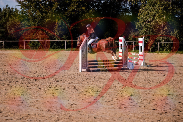 2026_10_03_Siefer-Hof_155744_Z81_77231789 | Professionelle Reitsport-, Turnier- und Eventfotografie von Robert Broda. Galerien mit ausgewählten und bearbeiteten Bildern direkt online ansehen und bestellen.