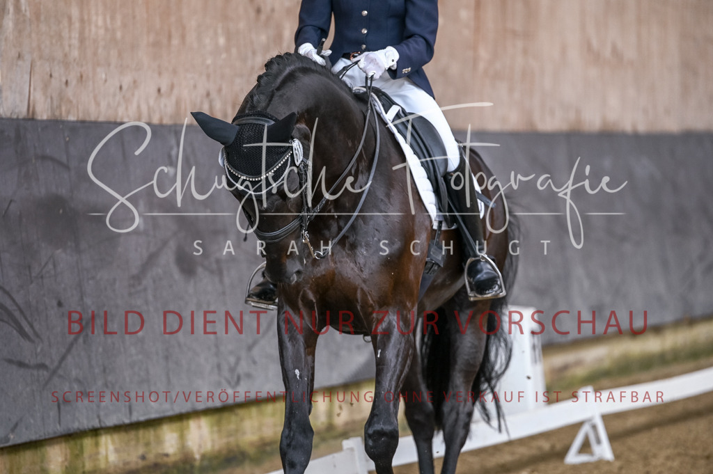 Schugtsche-Aluta25-57.Dressurprf.M1Kand-175 | Schugtsche Fotografie - Realizzato con Pictrs.com
