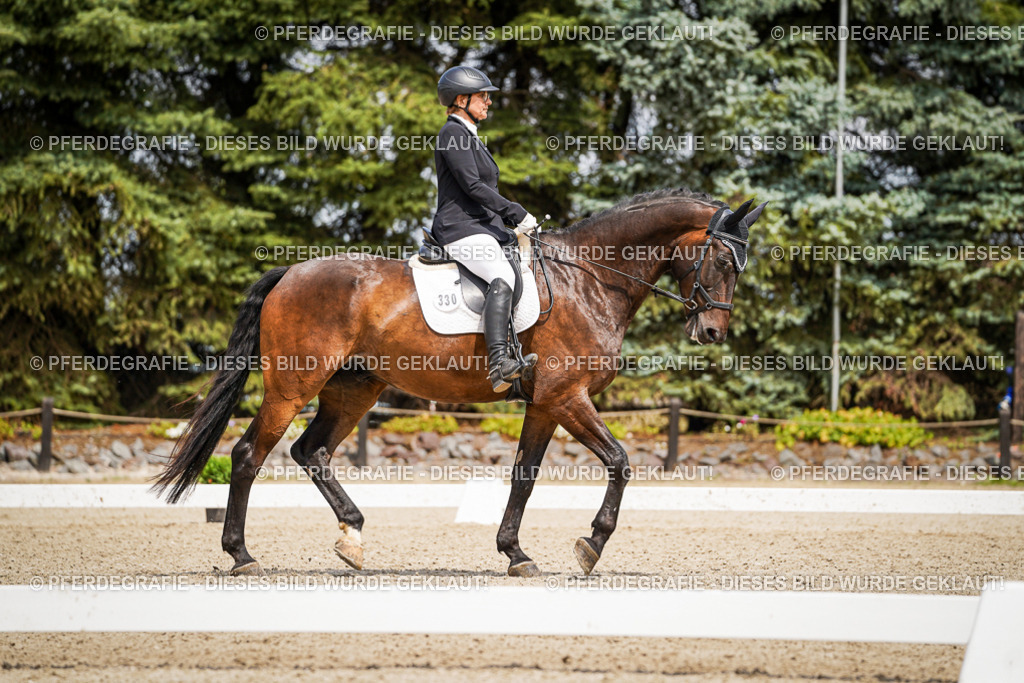 DSC03571 | Pferdegrafie