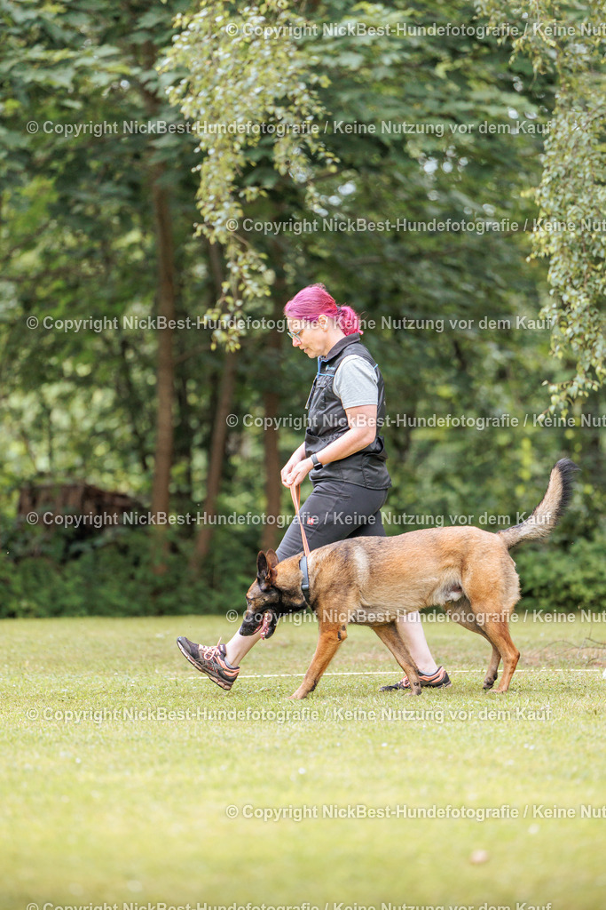 RO-Blumenthal-2026-Nickbest-Hundefotografie-2955 | Dein Hund! Dein Moment! Deine Erinnerungen! Hundefotografie in Bremen Blumenthal. Ich fange die besonderen Momente deines Vierbeiners ein – ob Indoor mit Blitzanlage oder in der freien Natur. Sicher dir dein Moment und dein Termin für eure Erinnerungen.