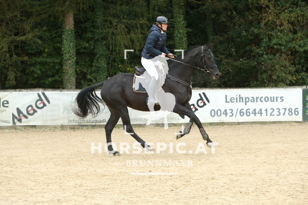 DL2Q5605 | Willkommen bei Brunnmayr - Design & Fotografie – Ihrem Spezialisten für Reitturniere und Pferdeveranstaltungen in Oberösterreich, Salzburg und Bayern! Seit über 17 Jahren sind wir leidenschaftlich dabei.