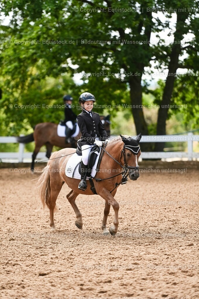 20230716_10-3_Reiter-WB Schritt - Trab - Galopp_0174 | equistock