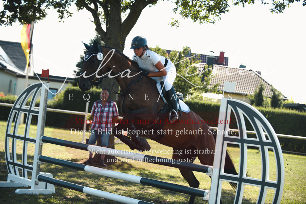DSC_7237 | Pferde- und Turnierfotografie in Westsachsen. Pferdeportraits, Auftragszeichnungen und intuitive Kunst.