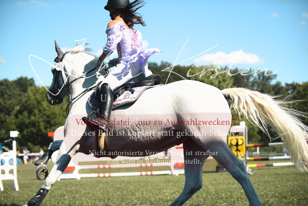 DSC_7552 | Pferde- und Turnierfotografie in Westsachsen. Pferdeportraits, Auftragszeichnungen und intuitive Kunst.