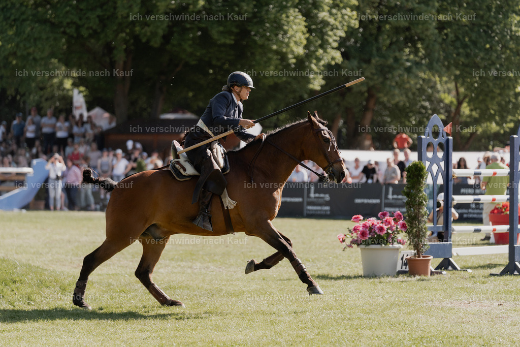 WE_MOS_Stoib_313_PI2025_2254 | Pferd International München 2025