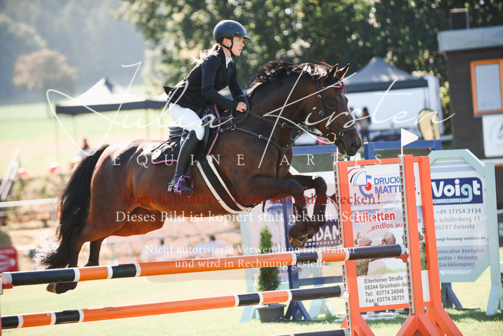 DSC_2392 | Pferde- und Turnierfotografie in Westsachsen. Pferdeportraits, Auftragszeichnungen und intuitive Kunst.