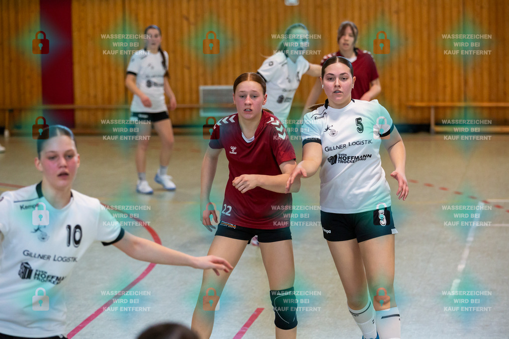 _HP_1525_3000o | JSG Welling-Bassenheim gegenAG AV 64 Zweibrücken 09.03.2024