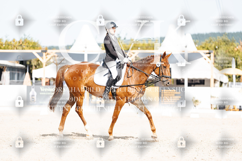 CK905473 | Turnierfotografie Pferdefotografie Trier Rheinland-Pfalz Pferdesport Reitsport Tierfotografie Sportfotografie Pferdevideo Pferdevideografie Equestrianvideography equestrianphotography  - Realisiert mit Pictrs.com