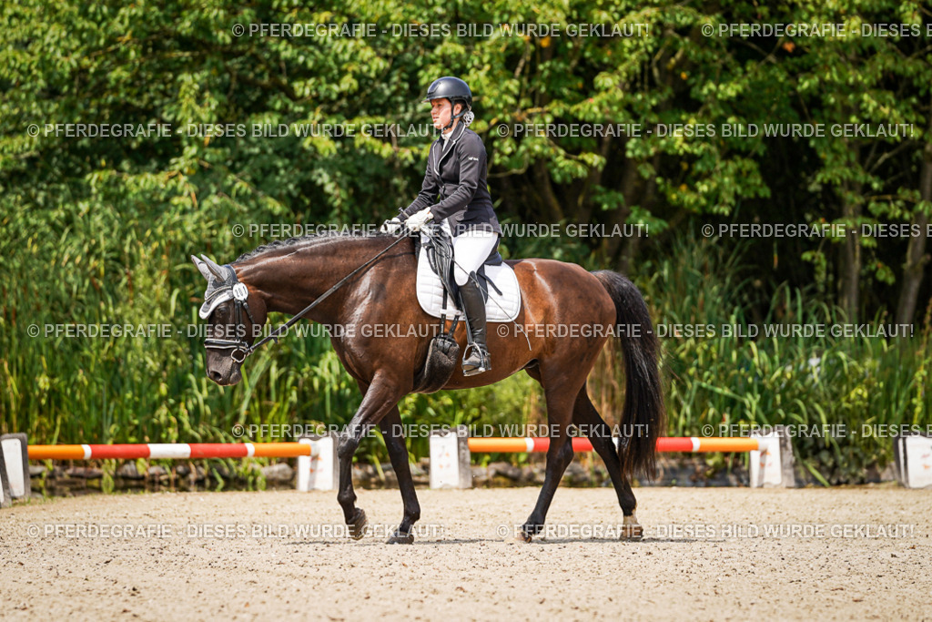 DSC03169 | Pferdegrafie