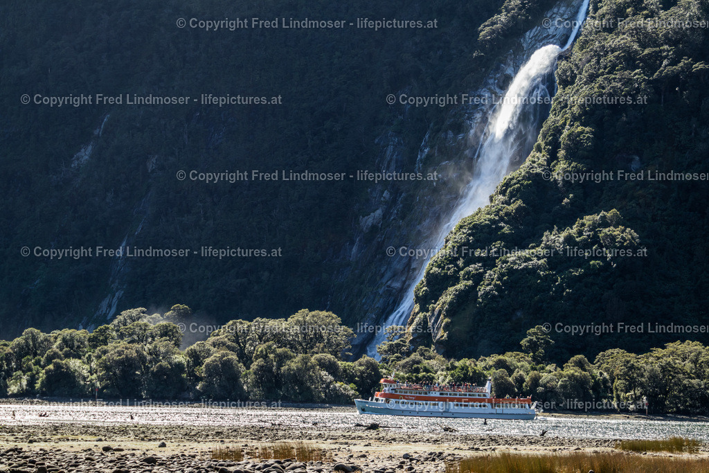 Neuseeland-1289 | Fotos und Fotoprodukte - Realisiert mit Pictrs.com