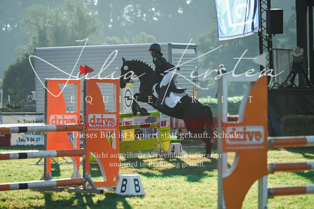 DSC_4073 | Pferde- und Turnierfotografie in Westsachsen. Pferdeportraits, Auftragszeichnungen und intuitive Kunst.