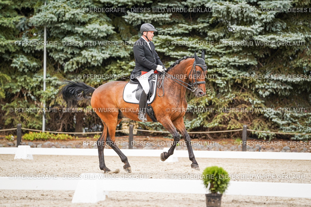 DSC07139 | Pferdegrafie