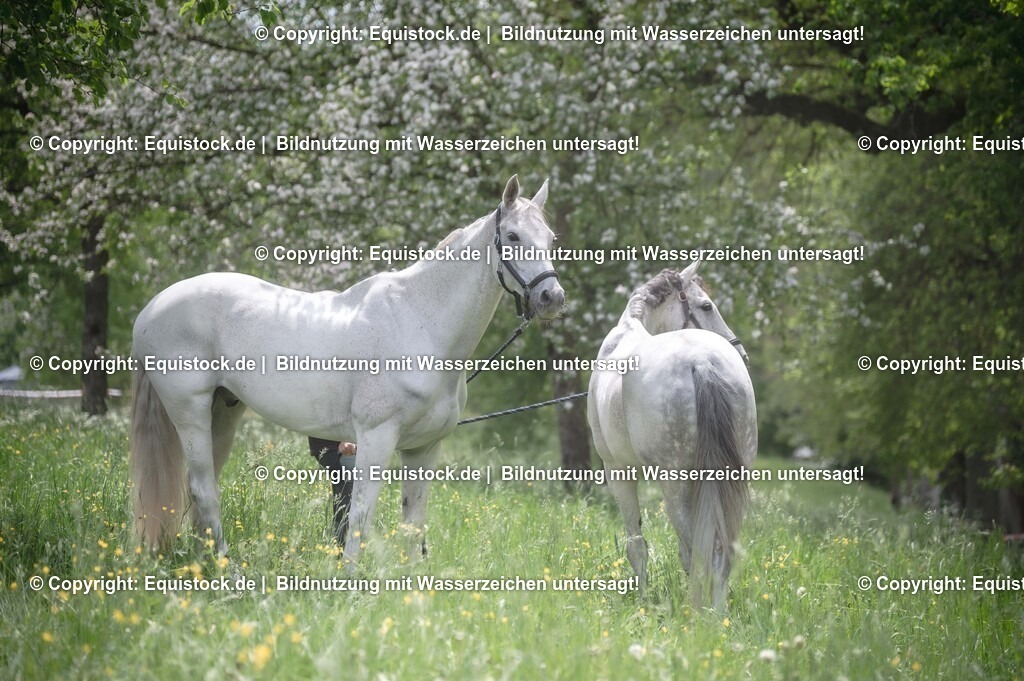 TS_20250516_Impressionen_0064 | Foto: Thomas Hartig