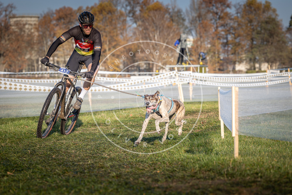 CaniXpix_0L8A4087 | Hundefotografie, Tierfotograf, Pfotenfotografie, Fotoshooting Hund, Hunde Portrait, Hundesport, Hundeportraits, Heideshooting, Hunde, Sportfotograf, Hundefotograf, Turnierhundsport, THS,  - Realisiert mit Pictrs.com