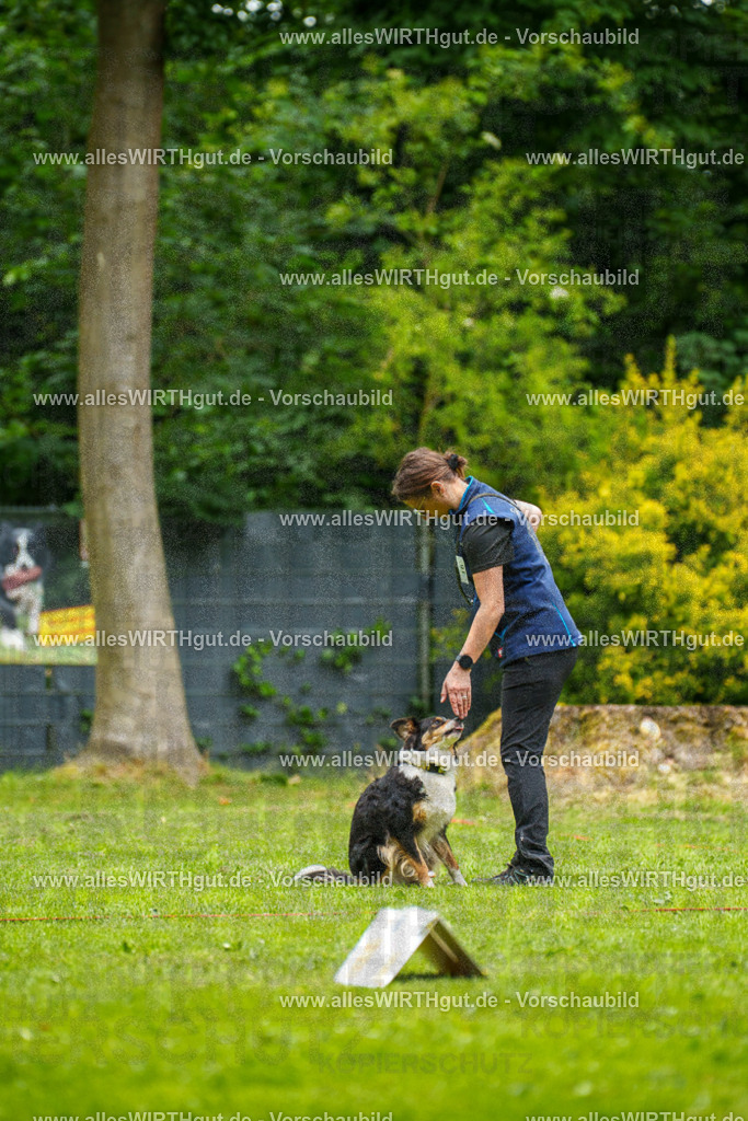 @allesWIRTHgut_Tierfotografie - www.allesWIRTHgut.de - 092000-7R506949 | Professionelle Tierfotografie in Mönchengladbach von Daniel Wirth (allesWIRTHgut). Liebevolle & natürliche Bilder von Hunden & Katzen für unvergessliche Erinnerungen.