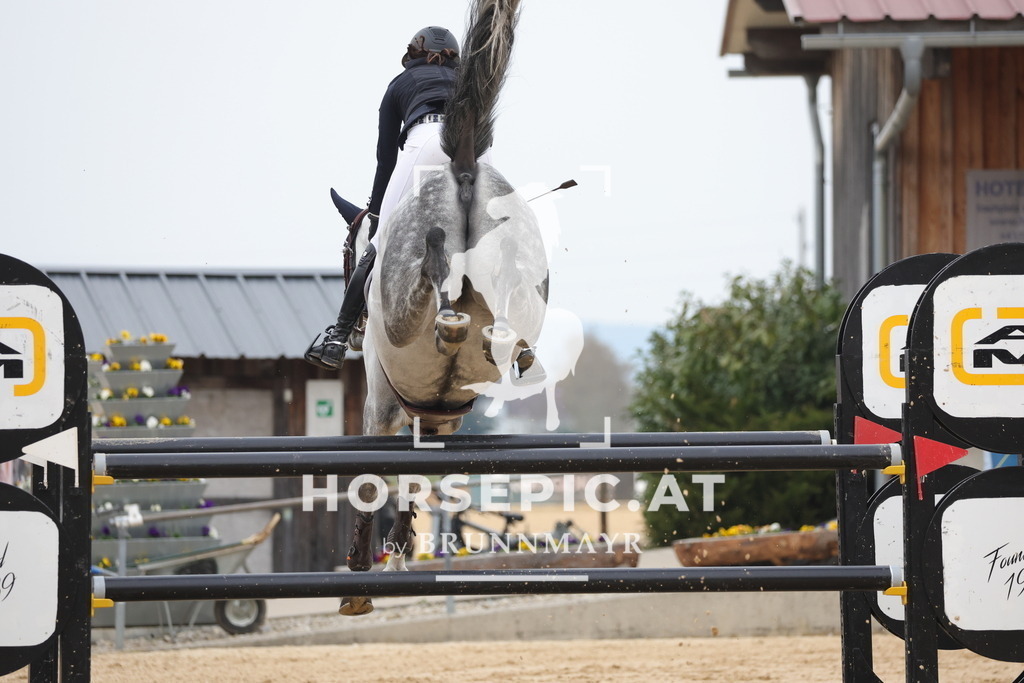 0P6A7813 | Willkommen bei Brunnmayr - Design & Fotografie – Ihrem Spezialisten für Reitturniere und Pferdeveranstaltungen in Oberösterreich, Salzburg und Bayern! Seit über 17 Jahren sind wir leidenschaftlich dabei.