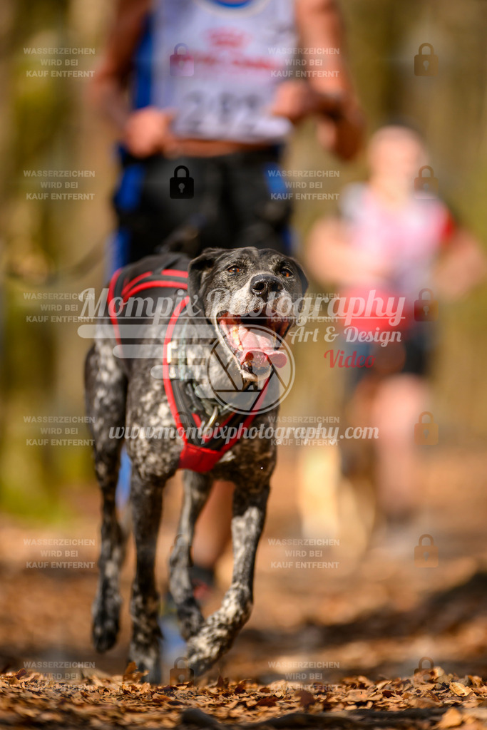 MompixPhotography_Habay2025_SA_CCC-186 | PayLife