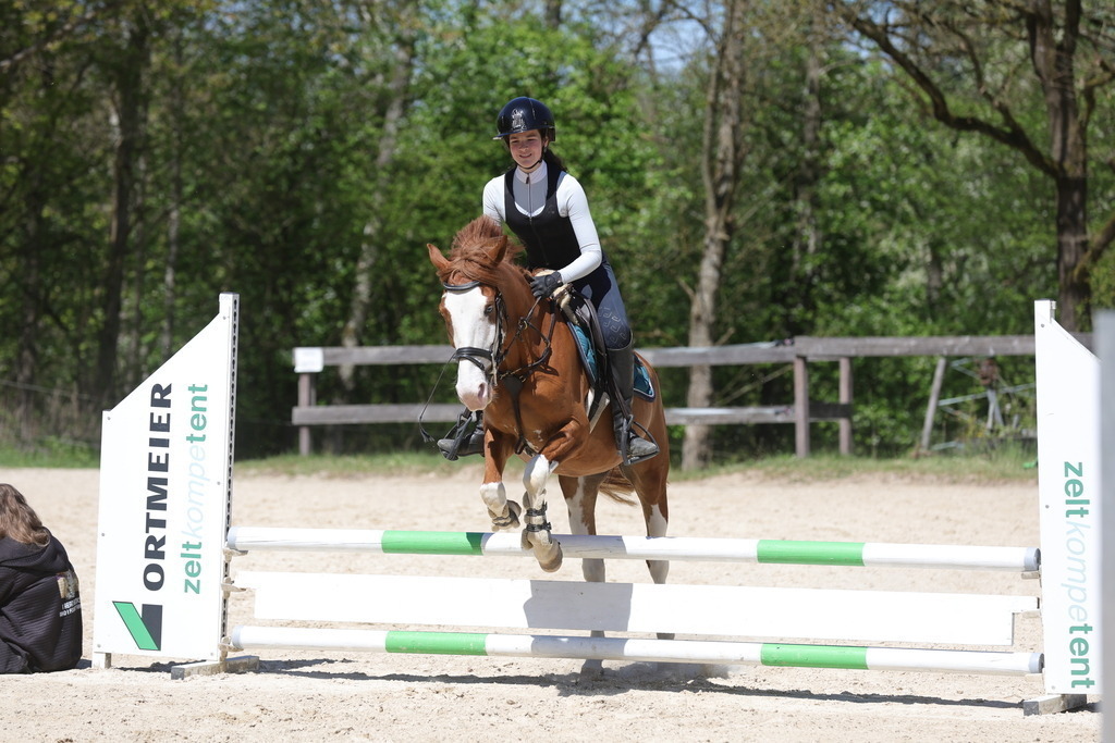 0P6A8846 | Willkommen bei Brunnmayr - Design & Fotografie – Ihrem Spezialisten für Reitturniere und Pferdeveranstaltungen in Oberösterreich, Salzburg und Bayern! Seit über 17 Jahren sind wir leidenschaftlich dabei.