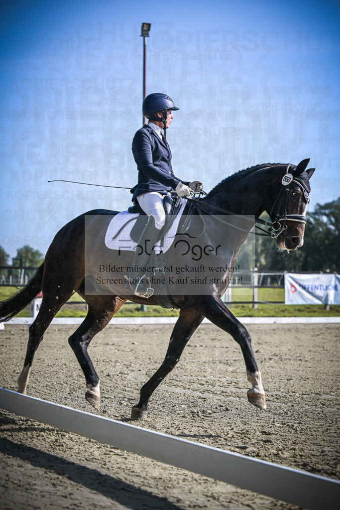 DOS_0545 | Entdecke hochwertige Reitturnierfotos von Foto Oger. Professionell, emotional und authentisch – jetzt Lieblingsmomente im Shop bestellen.Deutschlandweite Turnierfotografie. - Realisiert mit Pictrs.com