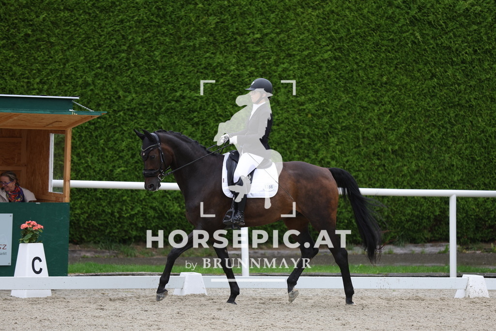 0P6A8411 | Willkommen bei Brunnmayr - Design & Fotografie – Ihrem Spezialisten für Reitturniere und Pferdeveranstaltungen in Oberösterreich, Salzburg und Bayern! Seit über 17 Jahren sind wir leidenschaftlich dabei.