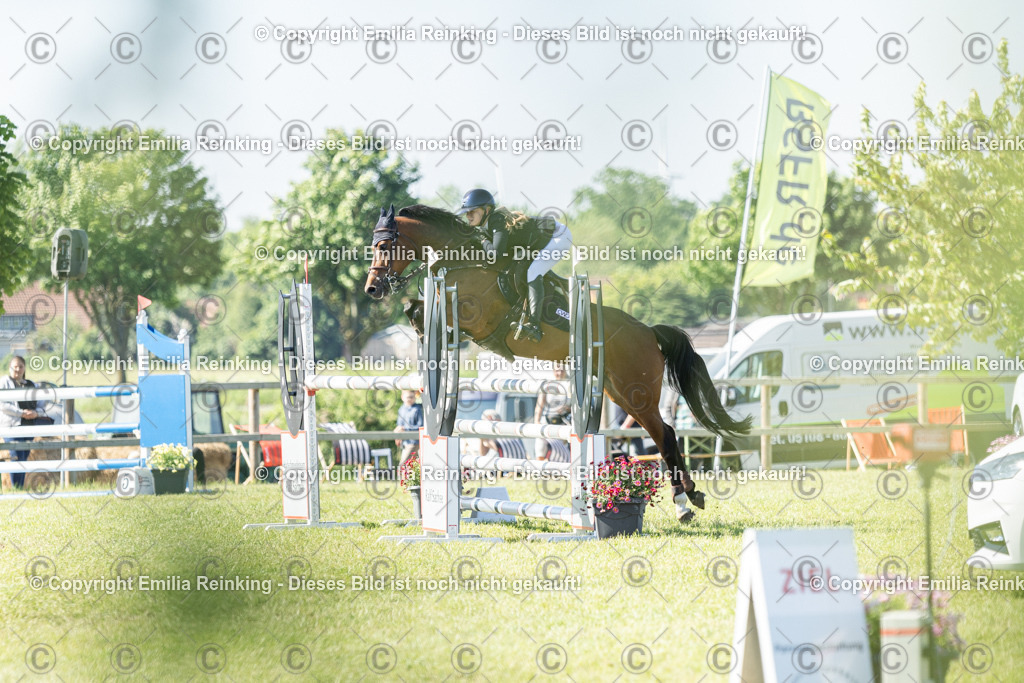 CL5A6941 | Emilia Reinking Fotografie - Realisiert mit Pictrs.com