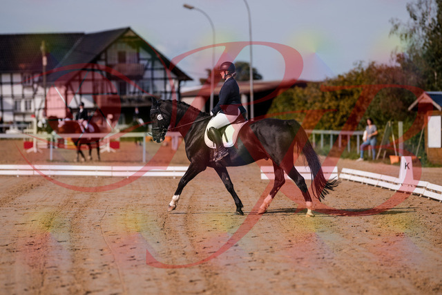 2026_10_03_Siefer-Hof_113440_Z81_79400082 | Professionelle Reitsport-, Turnier- und Eventfotografie von Robert Broda. Galerien mit ausgewählten und bearbeiteten Bildern direkt online ansehen und bestellen.