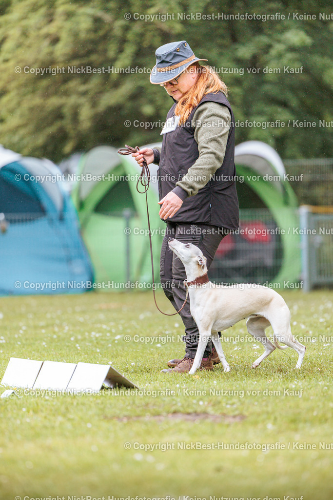 RO-Blumenthal-2026-Nickbest-Hundefotografie-0166 | Dein Hund! Dein Moment! Deine Erinnerungen! Hundefotografie in Bremen Blumenthal. Ich fange die besonderen Momente deines Vierbeiners ein – ob Indoor mit Blitzanlage oder in der freien Natur. Sicher dir dein Moment und dein Termin für eure Erinnerungen.