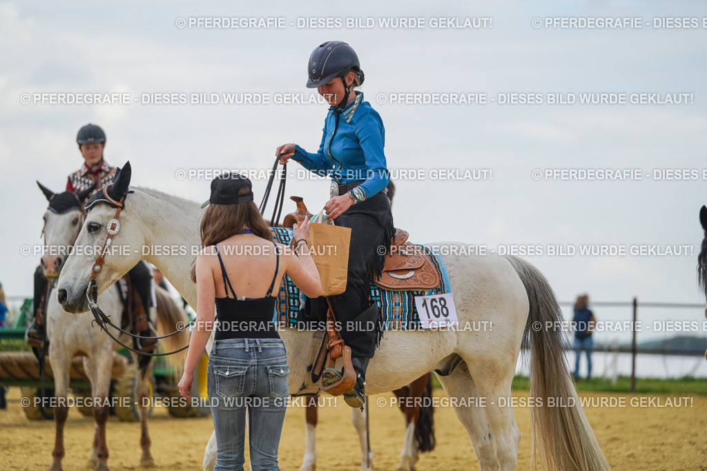 DSC06775 | Pferdegrafie